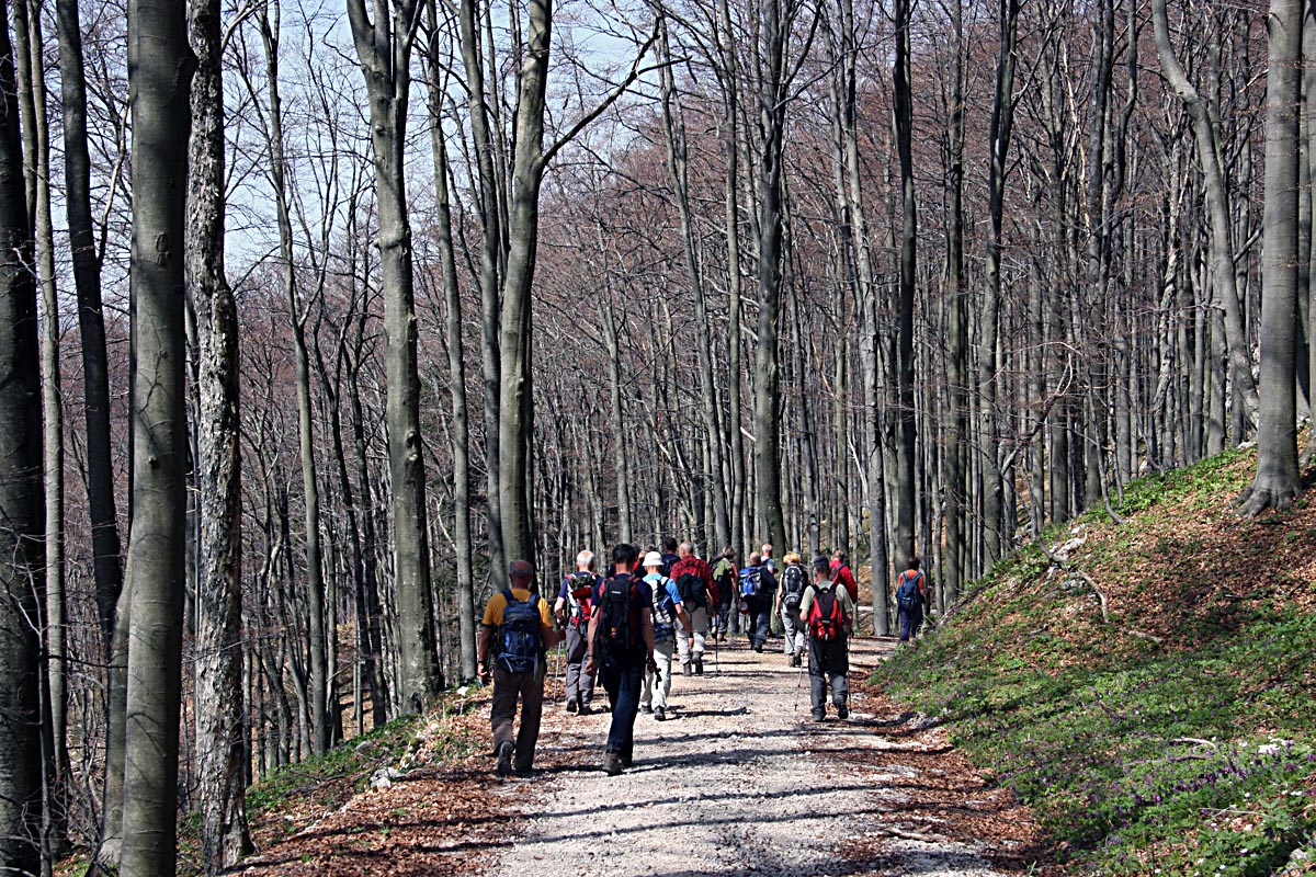 P 22.JPG